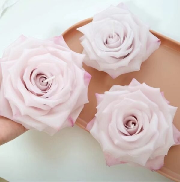Manta Rose Candle